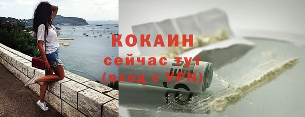 гидра Бородино
