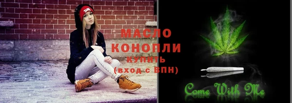 гидра Бородино