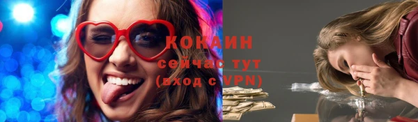 гидра Бородино