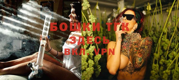 мдпв Бронницы