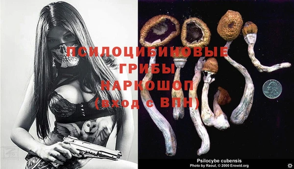Альфа ПВП Бугульма