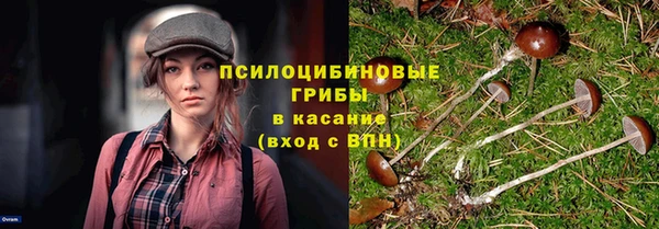 Альфа ПВП Бугульма