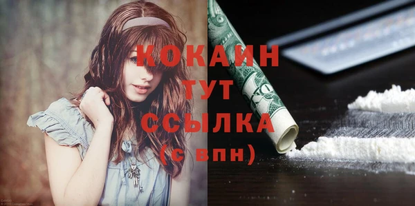 мдпв Бронницы